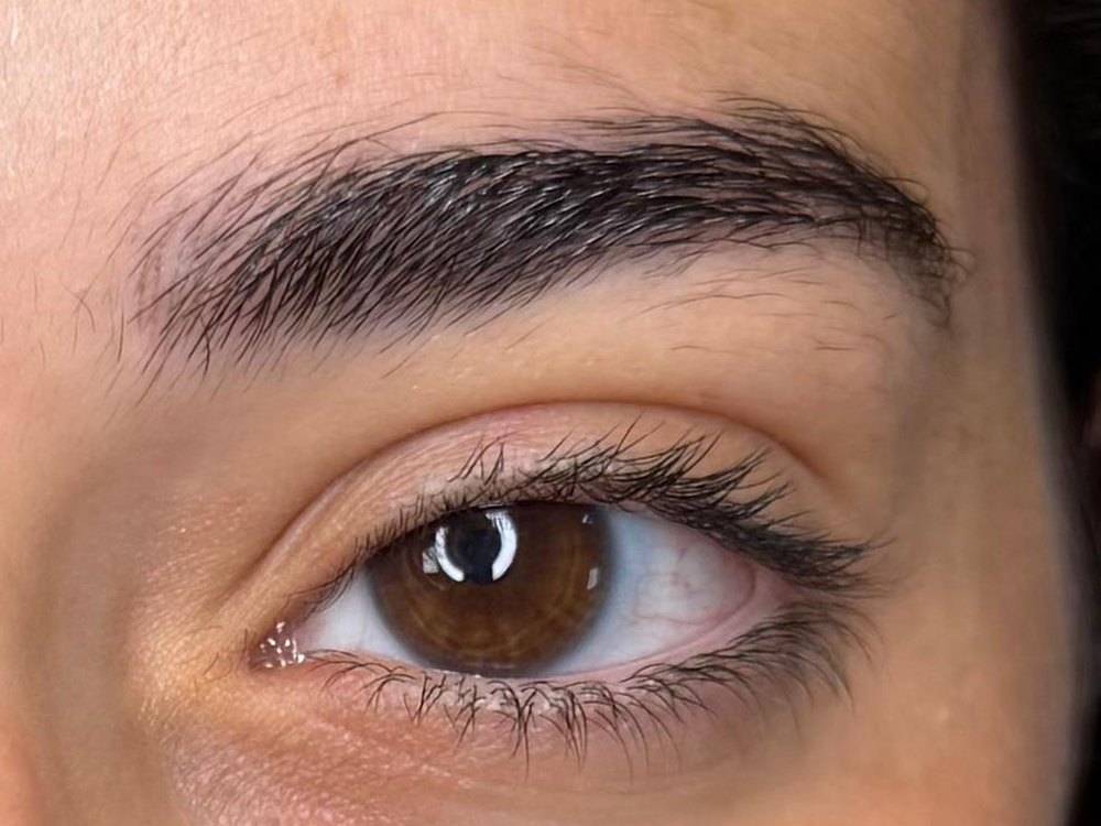 Sourcils poudrés, avant